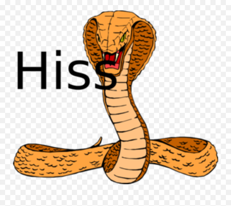 Reframing My Cognitive Dissonance By Using Psychodynamic - Hd Attacking Snake Png Emoji,Reframing Emotions