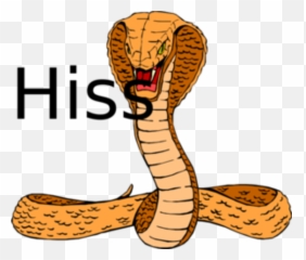 Reframing My Cognitive Dissonance By Using Psychodynamic - Hd Attacking Snake Png Emoji,Reframing Emotions