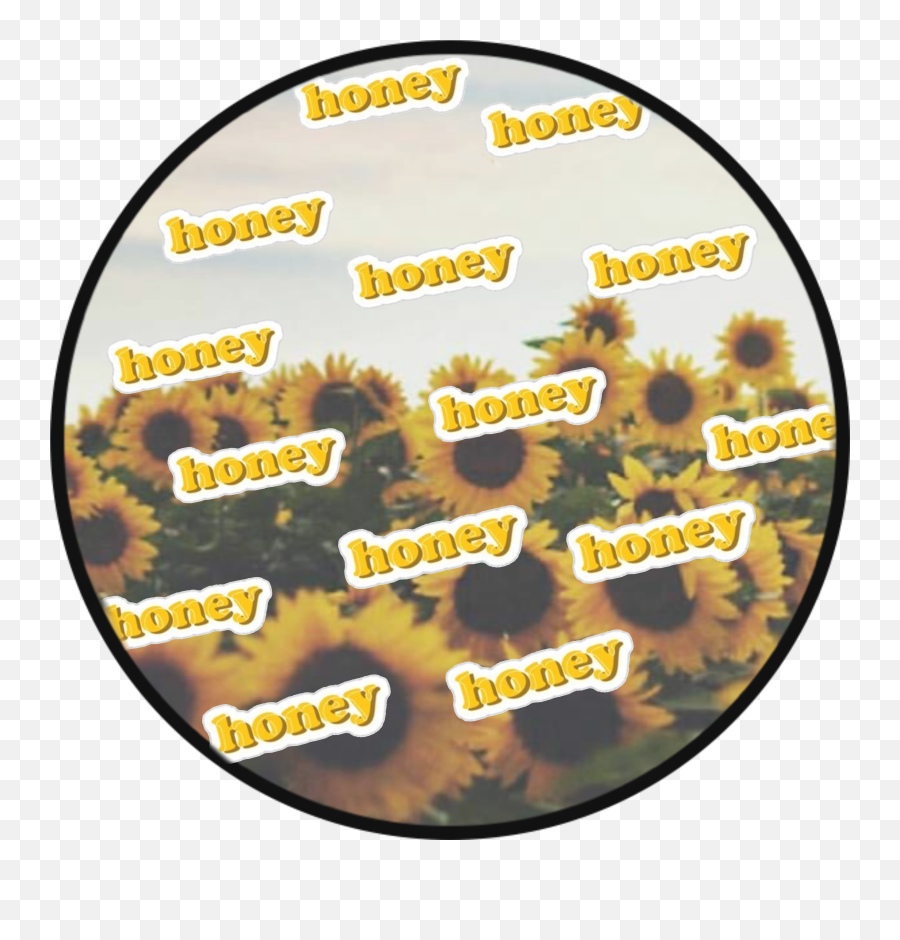 Summer Honey Sticker By Inaaya - Language Emoji,Adding Emojis To Hone