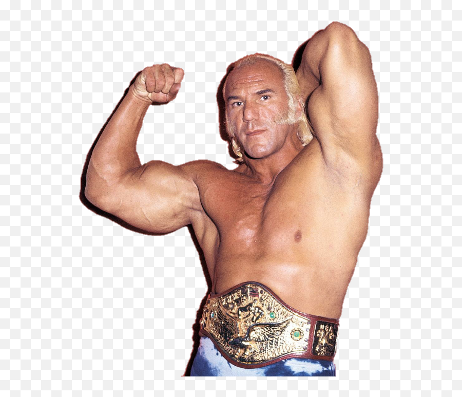 Classicprowrestlingnewsandreviews U2013 Page 4 U2013 Site Title - Superstar Billy Graham Wwe Champion Emoji,Bret Michaels Emoji