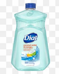 Dial Liquid Hand Soap Refill Coconut - Dial Hand Soap Refill Emoji,Refill Soap Bag Emotion Brand