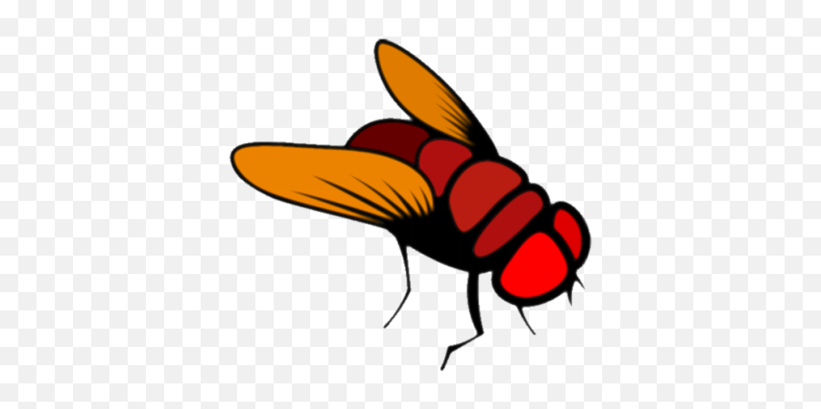 Fly Png And Vectors For Free Download - Dlpngcom Transparent Fruit Fly Cartoon Emoji,Housefly Emoticon