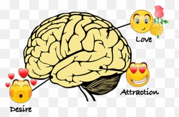 The Commitment Switch System - David Wygant Brain Black And White Emoji,Beyonce Emotions
