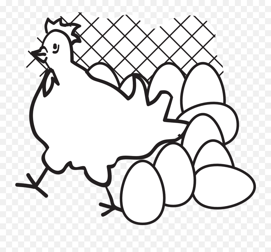 Httpswwwpicpngcomwhite - Birdduckwingslandingpng Chicken Egg Png Coloring Emoji,Hm Chicken Emoticon