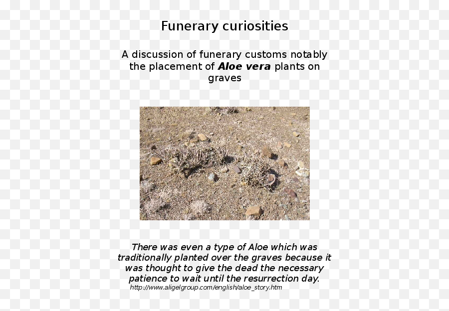 Doc A Discussion Of Funerary Customs Notably The Placement Emoji,Asheron Shroud Of Emotion