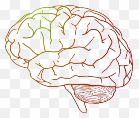 Brain Png Hd Images Stickers Vectors Emoji,Brain In Emoji