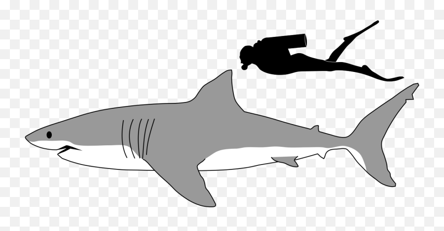 Shark Png Download Great White Shark - Clip Art Library Emoji,Emoticon Giraffa