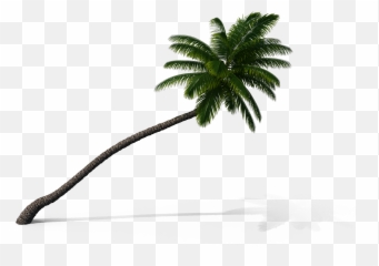Palm Tree Palmtree Sticker - Fresh Emoji,Palm Tree Drink Emoji