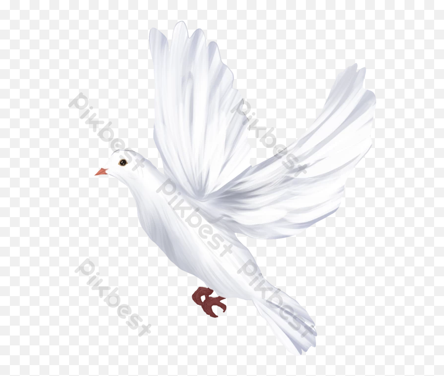 Flying White Dove Free Png Transparent - Lovely Emoji,Dove Emoji App