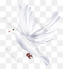 Flying White Dove Free Png Transparent - Lovely Emoji,Dove Emoji App