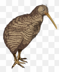 Little Spotted Kiwi Clipart - Long Emoji,Kiwi Bird Emoji