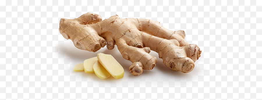 Ginger Root - Ginger Emoji,Ginger Root Emoji