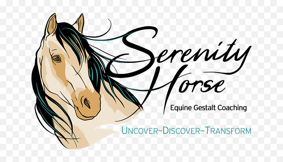 Serenity Horse Coaching - Language Emoji,Horse Emotions
