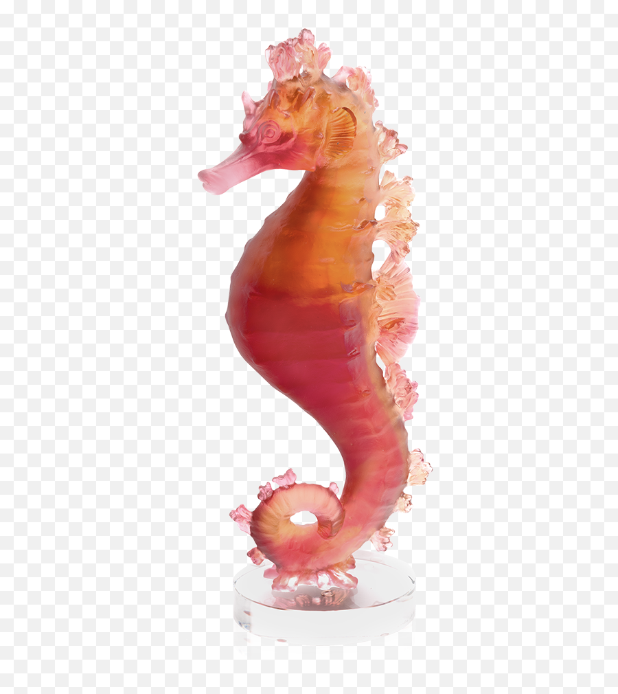 Daum Coral Sea Amber Red Seahorse - Hippocampe Bleu Emoji,Facebook Emoticons Seahorse