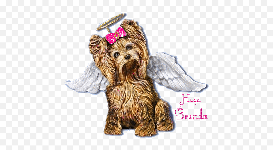 Brenda Name Graphics And Gifs - Angel Yorkie Emoji,Puppy Yorkie Emoticon