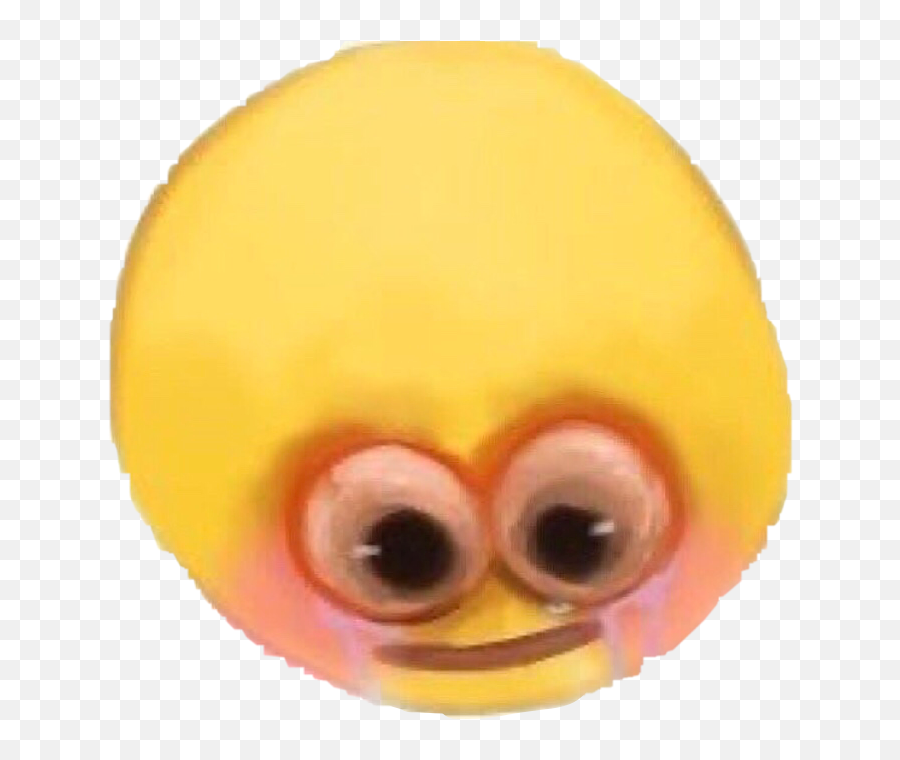 The Most Edited Hapoy Picsart - Cursed Shy Emoji,Shrug Bear Disapproving Dad Emoticon