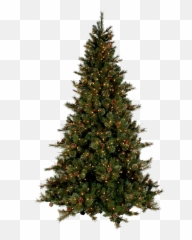 Real Christmas Tree Free Download Png - Real Christmas Tree Transparent Background Emoji,Adding Christmas Tree Emoticon Facebook