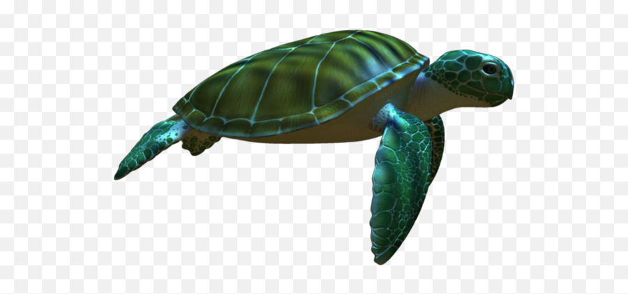 Green Sea Turtle Animation - Sea Turtle Png Emoji,Sea Turtle Emoji