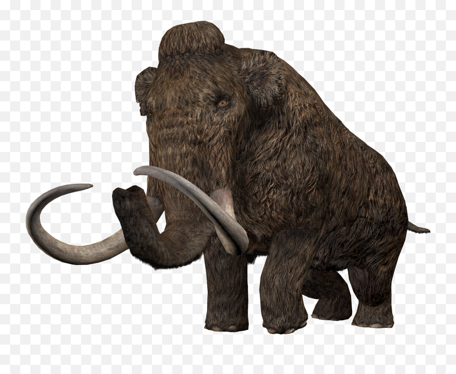 Woolly Mammoth Dinosaur Wiki Fandom Emoji,Zoo Tycoon 2 Emoticons