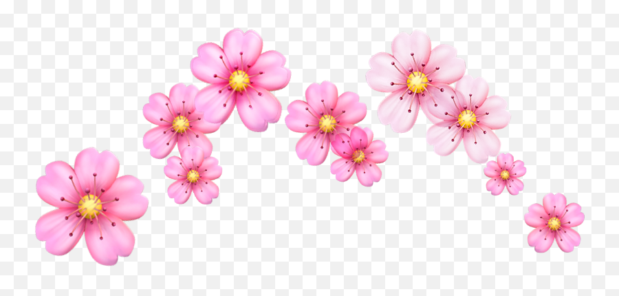 Cherry Blossom Flowers Emoji Png Image - Flower Emoji Crown Png,Cherry Emoji
