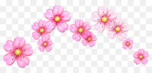 Cherry Blossom Flowers Emoji Png Image - Flower Emoji Crown Png,Cherry Emoji