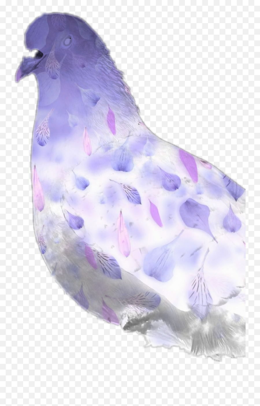 Dove Purple Feathers Sticker - Lovely Emoji,Dove Emoji App