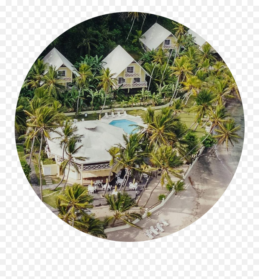 Coconut Isla Grande Negocios Catalogo De Servicios - Hotel Coconut Isla Grande Emoji,Emotions Playa Dorada