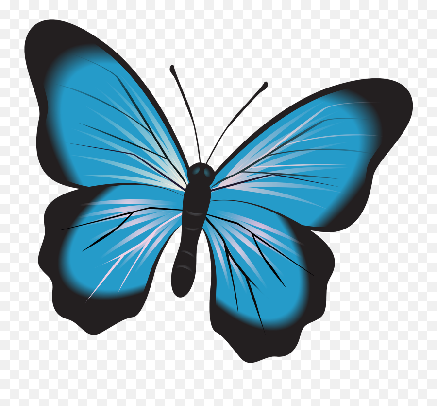 Blue Butterfly Clipart Free Download Transparent Png - Pink Butterfly Clipart Emoji,Butterfly Emoji Png