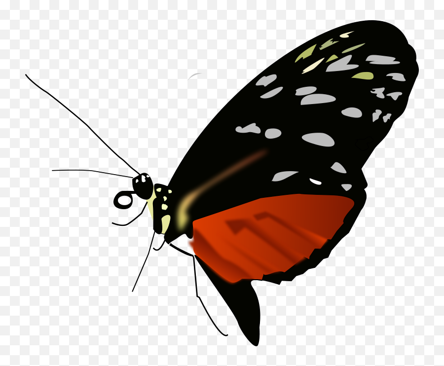 Free Clipart - Popular 1001freedownloadscom Emoji,Facebook Butterfly Emoticon Code