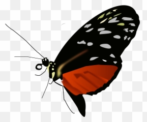 Free Clipart - Popular 1001freedownloadscom Emoji,Facebook Butterfly Emoticon Code