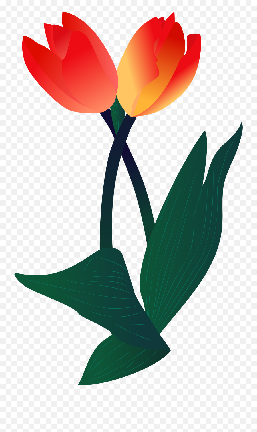 Plant Illustration Flower Png And - Flower Plant Illustration Png Emoji,Flower Emoji Vector