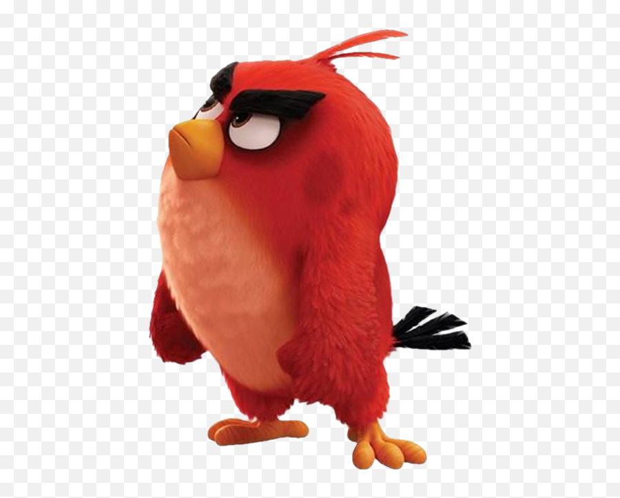 Download Hd Angry Birds Images Red Wallpaper And Background - Red Angry Bird Png Emoji,Red Angry Face Emoji