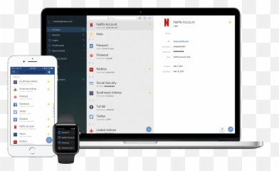 Msecure Password Manager And Digital Wallet - Msecure Windows 10 Emoji,Emojis Lg Tastatur ?ndern No Root