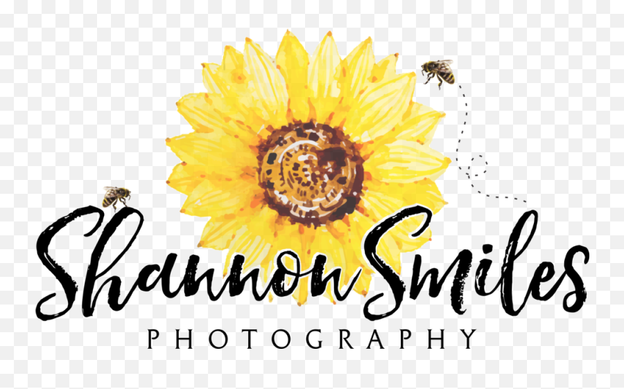 About 1 U2014 Shannon Smiles Photography Emoji,Sunflowers Emotion