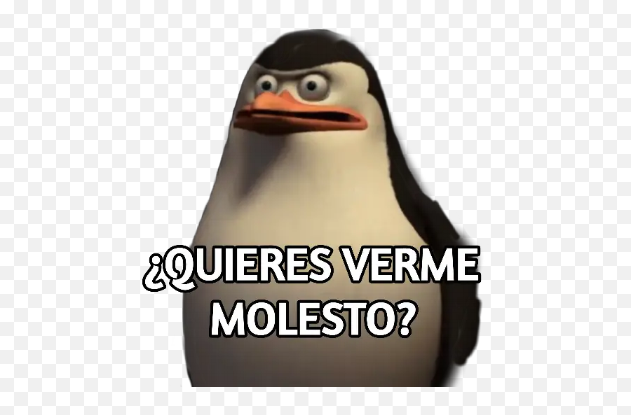 De Madagascar Stickers Para Whatsapp - Stickers Pinguinos De Madagascar Emoji,Emojis De Pinguinos Utilizables