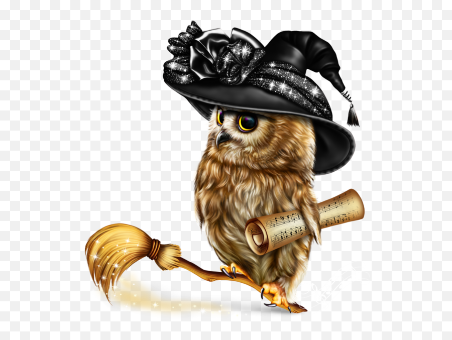 Halloween Owl Wizard Sticker By Salulilbug - Halloween Oiseaux Emoji,Wizard Emoji