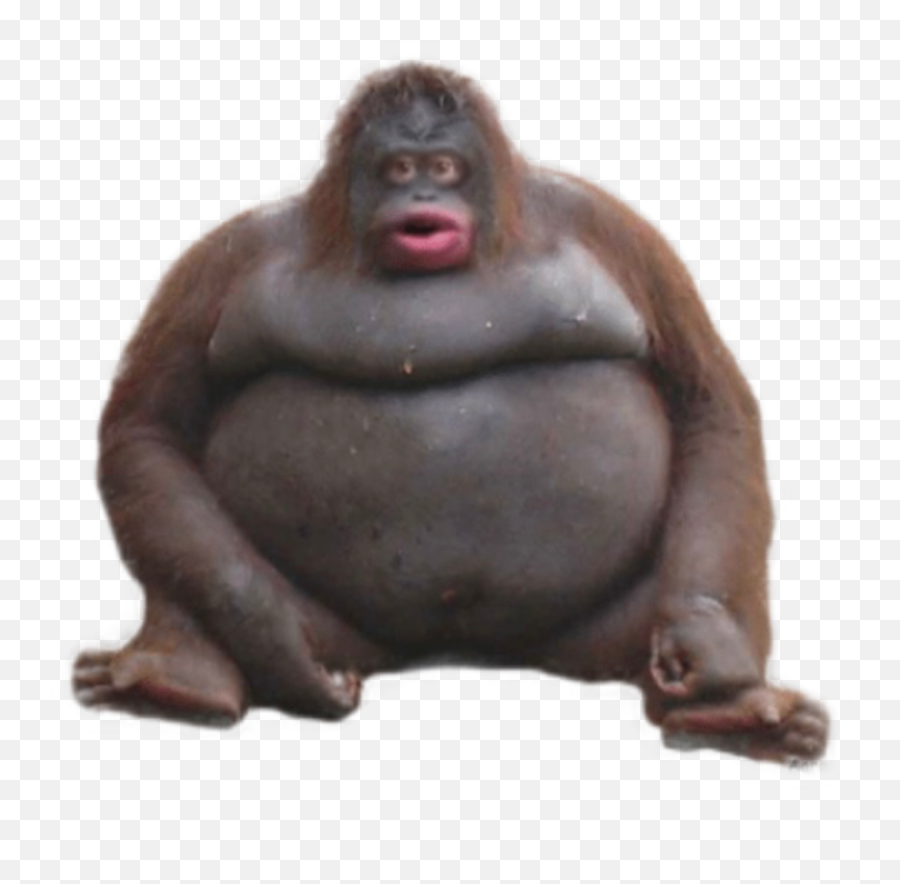 Le Monke Sticker - Le Monke Vs Big Chungus Emoji,Le Monke Emoji