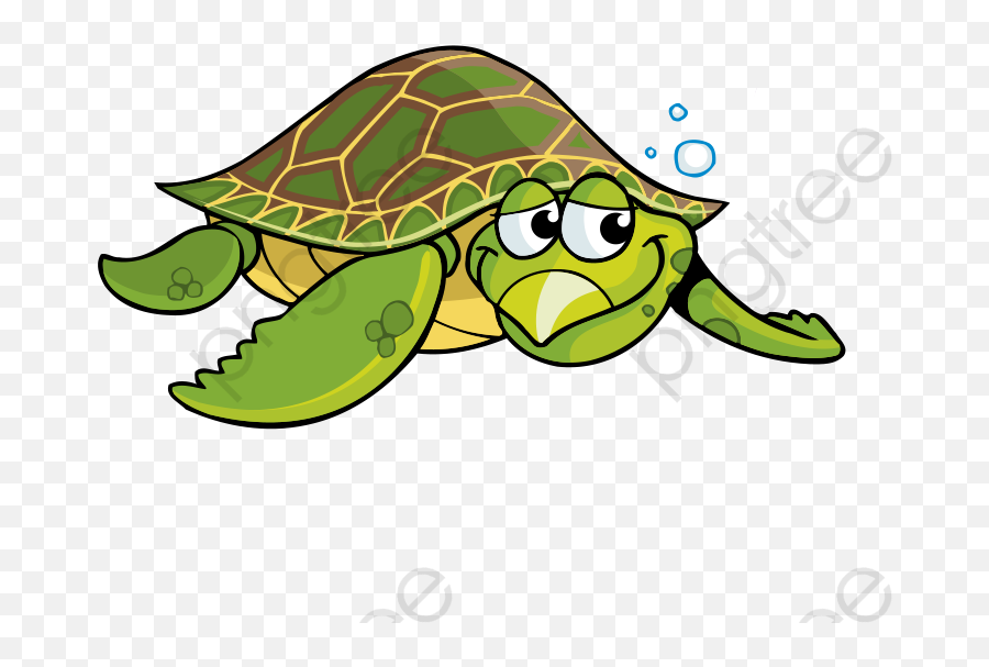 Cartoon Sea Turtle Png Transparent Png - Soft Shelled Turtle Clipart Emoji,Sea Turtle Emoticon