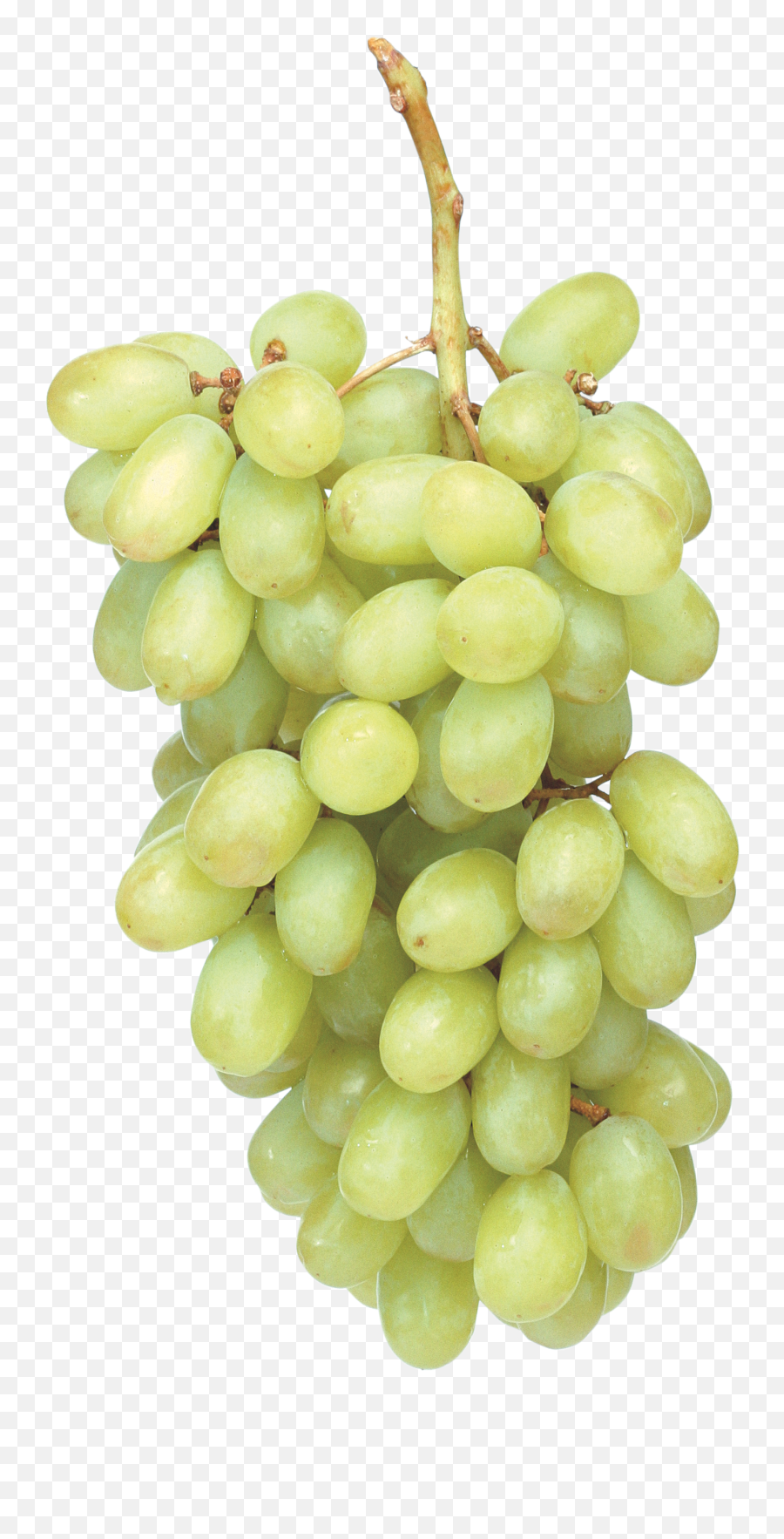 17 Best Green Grapes Ideas Green Grapes Grapes Green - Png Free Grape Green Png Emoji,Facebook Emoticons Grapes