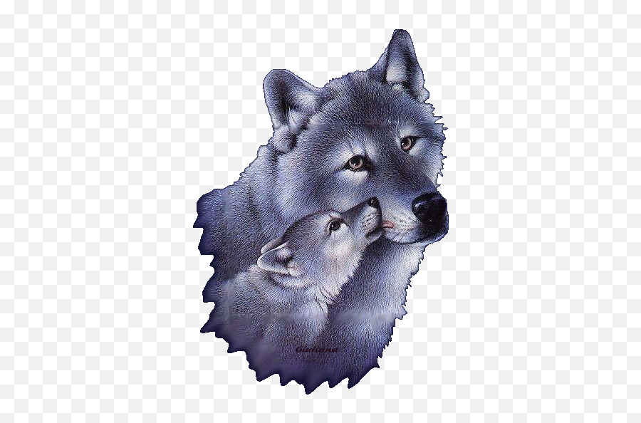 Jst Magical Wolves Frnds Gif - Cute Wolf Gif Transparent Background Emoji,Jacob Wolf Emotions