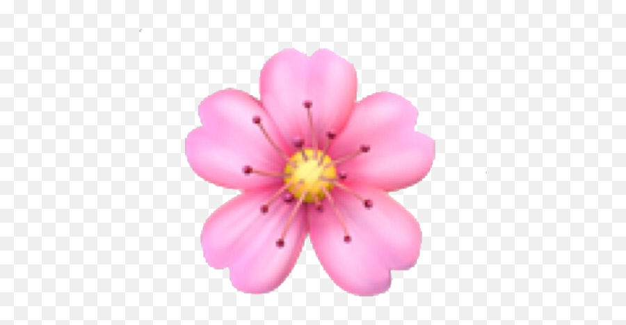 Free Transparent Emoji Png Download - Flower Emoji Png,Daisy Emoji