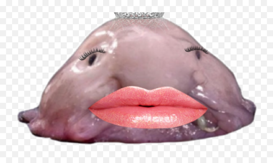 The Most Edited Blobfish Picsart Emoji,Blobfish Emoticon