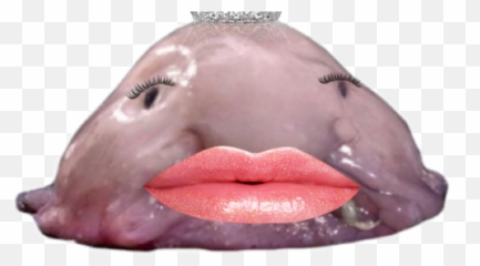 The Most Edited Blobfish Picsart Emoji,Blobfish Emoticon