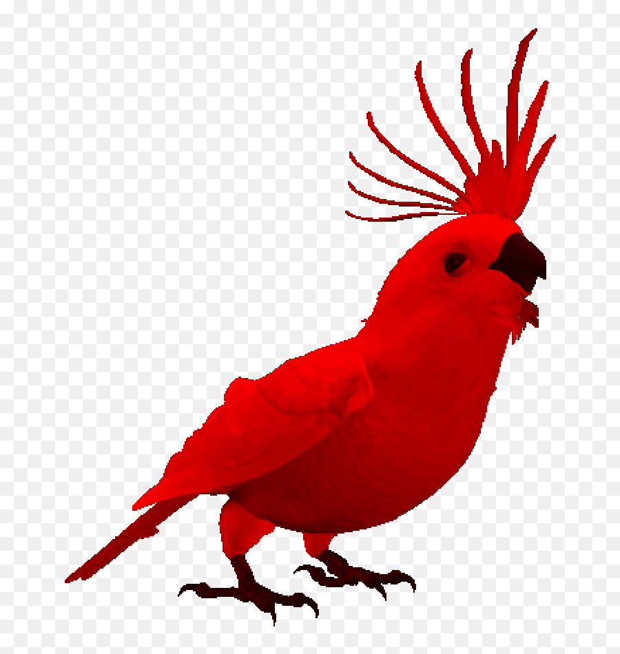Beautiful Gif - Animated Bird Gif Transparent Background Emoji,Bird Emoji