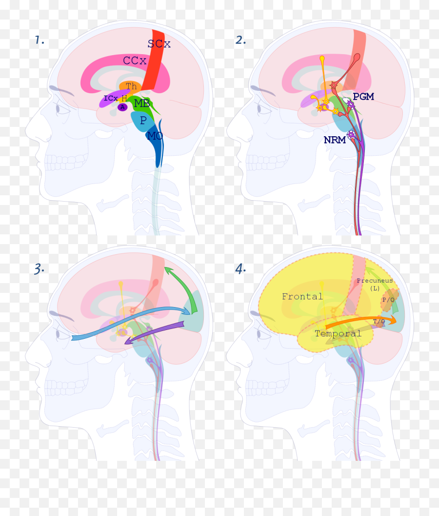 The Brain Behind Myofascial Trigger Points U2013 Spmxca - For Adult Emoji,Pain Emotion Chart