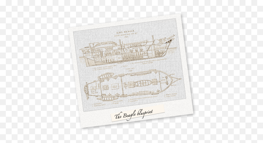 Darwin Timeline Darwin Correspondence Project - Marine Architecture Emoji,Charles Darwin Emotions