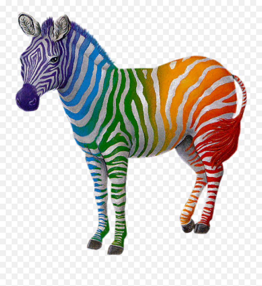 Rainbow Zebra Pets U0026 Animals Sticker By Thegreenfrog - Zebra Rainbow Emoji,Zebra Emoji