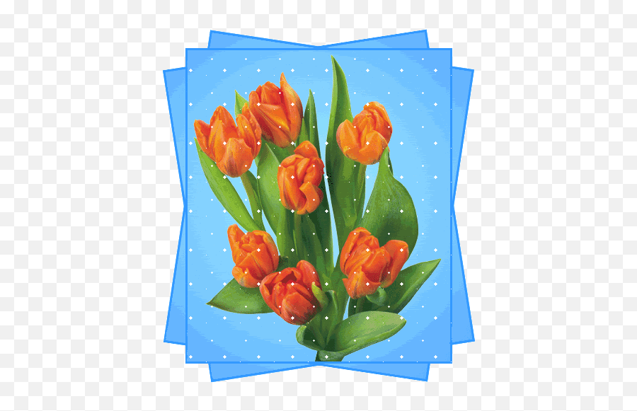 Gifs Tulips Emoji,Spring Animated Emojis