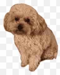 Top Dog Toy Stickers For Android Ios - Northern Breed Group Emoji,Emoji Dog Toy