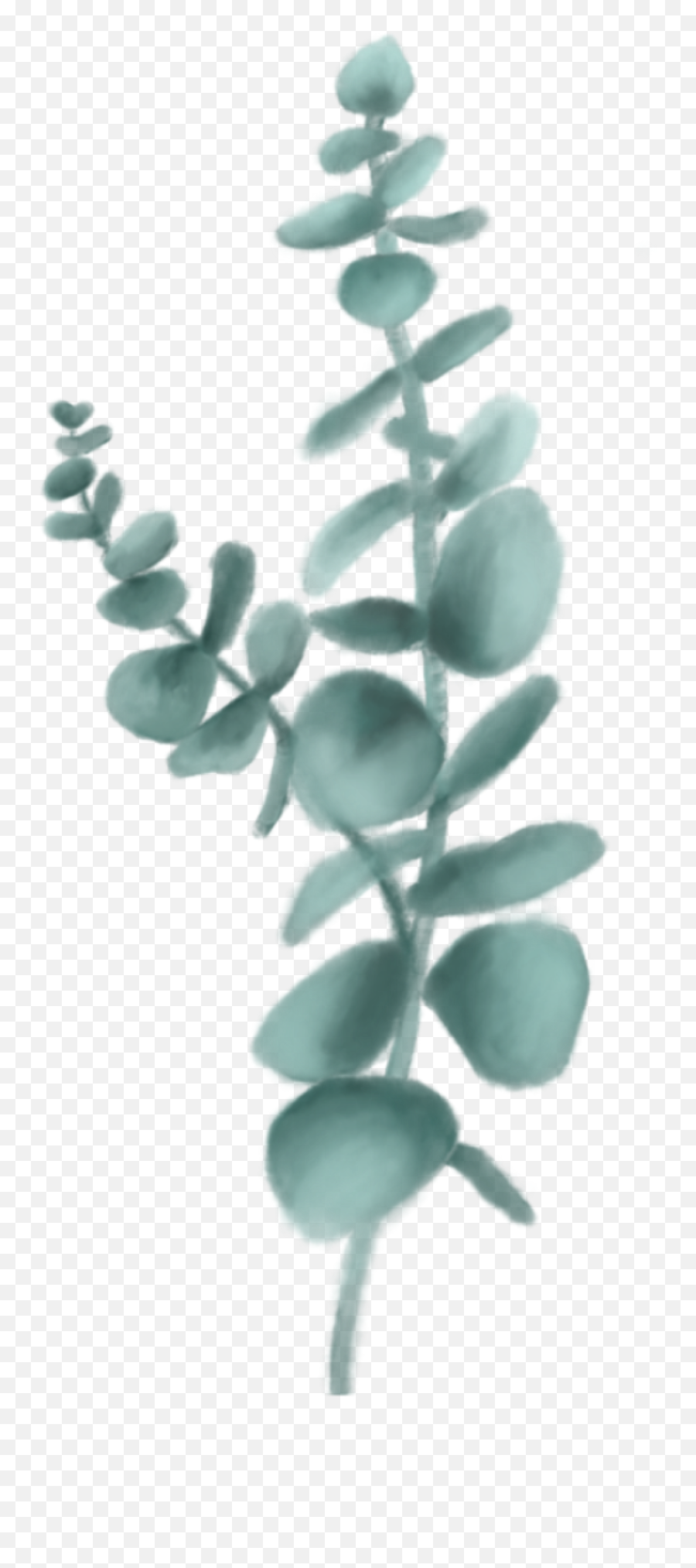 Eucalyptus Sticker - Aromablends Bruma Corporal Just Emoji,Eucalyptus Emoji